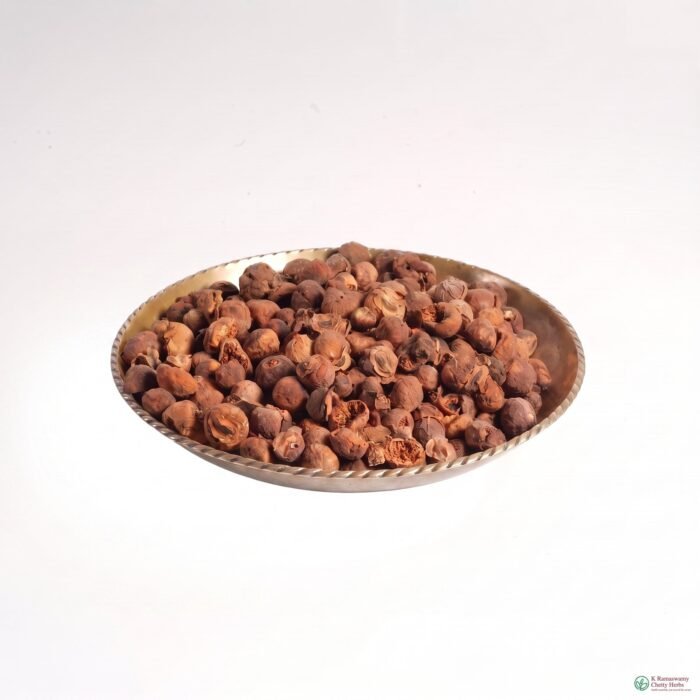 Ala Vedhai - ஆல விதை