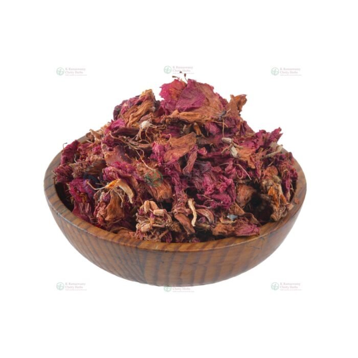 Chemparuthi Poo - செம்பருத்தி பூ
