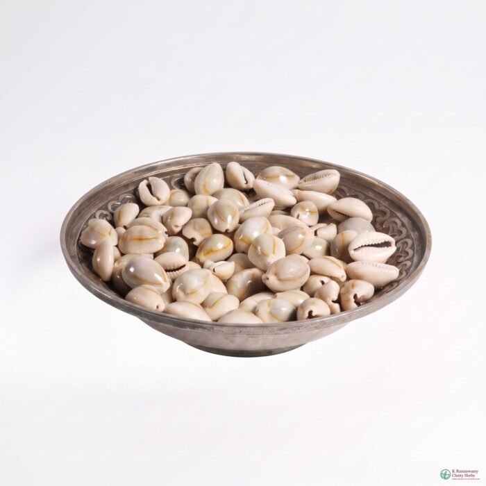 Chozhi White - வெள்ளை சோழி