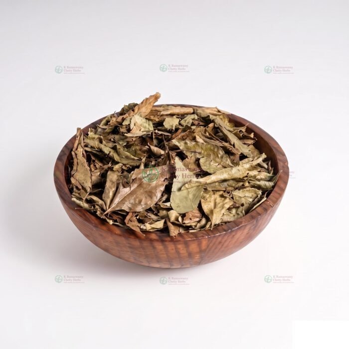 Currry Leaves - கறிவேப்பிலை