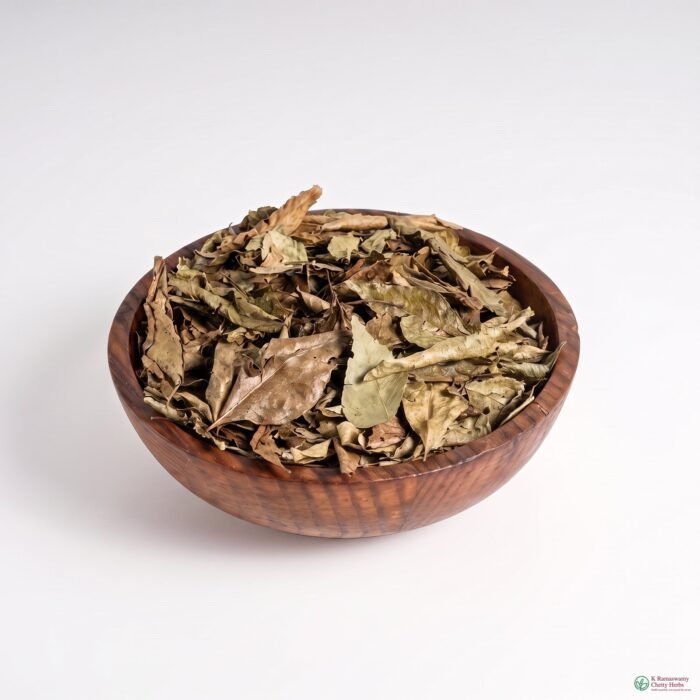Currry Leaves - கறிவேப்பிலை