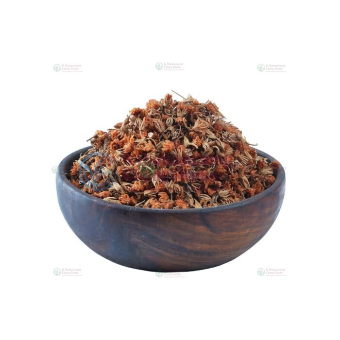 Magilam Poo - மகிழம்பூ